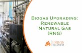 Biogas Upgrading: Renewable Natural Gas (RNG) · Biogas to RNG bi·o·gas, ˈbīōˌɡas/, noun, gaseous fuel, especially methane, produced by the fermentation of organic matter.
