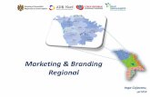 Marketing & Branding Regional - adrnord.mdadrnord.md/public/files/prezentari_proiecte/Marketing__branding...• Marketing - concepție privind organizarea și desfășurarea activității