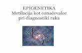 EPIGENETIKA Metilacija kot označevalecibk.mf.uni-lj.si/teaching/objave/3epigenetika.pdf · EPIGENETIKA • grško (επί), epi = nad • epigenetske modifikacije so del genomske