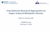 Translational Research Approaches to Sugar-Induced ... · SSBs Dose-Dependently Associate with Increased Fasting Insulin Figure 2. Forest plot of main association between sugar-sweetened