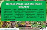Herbal Drugs and its Plant Sources - Entrepreneur India · Herbal Drugs and its Plant Sources (Stoechas Linn, Adhatoda (Acanthaceae), Ammi (Apiaceae), Bacopa (Scrophulariaceae), Cedrus