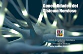 generalidades del sistema nervioso - anatomiahumana3d.comanatomiahumana3d.com/wp-content/uploads/2018/08/generalidades-del... · Generalidades del Sistema Nervioso ... SNC donde están
