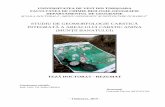STUDIU DE GEOMORFOLOGIE CARSTICĂ INTEGRATĂ A …geografie.uvt.ro/wp-content/uploads/2019/01/Teza-doctorat_Artugyan.pdf · mediului carstic ce conduce la poluarea acviferelor, peșteri