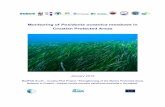Monitoring of Posidonia oceanica meadows in Croatian ...awsassets.panda.org/downloads/monitoring_of_posidonia_oceanica_in_croatia.pdf · Monitoring of Posidonia oceanica meadows in