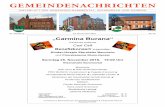 GN KW47 2018 - gemeinde-gaiberg.degemeinde-gaiberg.de/fileadmin/user_upload/pdf_Gemeinde/Amtsblatt/2018/... · gemeindenachrichten amtsblatt der gemeinden bammental, wiesenbach und