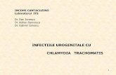 INFECTIILE UROGENITALE CU CHLAMYDIA TRACHOMATISdspcluj.ro/HTML/anunturi/ITS/Inf_Chlamydia_.pdf · Bacteriile din genul Chlamydia sunt paraziti intracelulari obligatorii care se multiplica