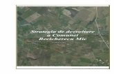Strategia de dezvoltare a Comunei Becicherecu Mic · Strategia de dezvoltare a Comunei Becicherecu Mic Coordonată de sociolog dr. Vasile Deac (PFA) din 2002, când se înregistraseră