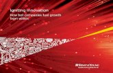 Igniting innovation - How hot companies fuel growth from ...... · — Maria Pinelli, Americas Director for Strategic Growth Markets, Ernst & Young LLP There are two factors without