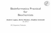 Bioinformatics Practical for Biochemists · Bioinformatics Practical for Biochemists Andrei Lupas, Birte Höcker, Steffen Schmidt SS 2012 03. Sequence Features