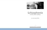 Schizophrenie - Klinik Sonnenhalde · SCHIZOPHRENIE ) VERSTEHEN, ERATEN, EWÄLTIGEN 1 Schizophrenie als Herausforderung Patienten sind Menschen. Die Krankheit ist Teil ihrer Biografie.