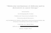 Molecular mechanisms of shikonin and its derivatives in ... · Furthermore, the deregulation of ERK, JNK MAPK and AKT activity was closely associated with the reduction of c-MYC,