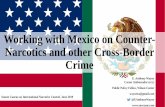 Working with Mexico on Counter- Narcotics and other Cross ... · Working with Mexico on Counter-Narcotics and other Cross-Border Crime E. Anthony Wayne Career Ambassador (ret.) Public