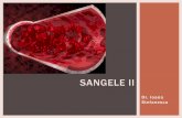 SANGELE II - Fiziologiefiziologie.ro/didactic/2014-2015/cursuri/s2 2 SANGE II 2015 suport.pdf · Hemoliza fiziologica (eritroliza) are ca principal splina, care impreuna cu ficatul,
