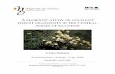 FOREST FRAGMENTS IN THE CENTRAL ANDES OF ECUADOR - …526780/FULLTEXT01.pdf · A FLORISTIC STUDY OF POLYLEPIS FOREST FRAGMENTS IN THE CENTRAL ANDES OF ECUADOR Ulrika Ridbäck Examensarbete