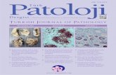 Turkish Journal of Pathologyturkjpath.org/cover/cover_TPD_75.pdfEbru ÇAKIR Hakan ÇERMİK Emel DİKİCİOĞLU ÇETİN Dilaver DEMİREL Neşe CALLI DEMİRKAN Gülen DOĞUSOY Funda