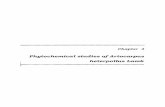 Phytochemical studies of Artocarpus heterpollus Lamkshodhganga.inflibnet.ac.in/bitstream/10603/5161/8/08_chapter 4.pdf · Chapter .4 .* 87 Phytochemical studies of Artocarpus heterophyllus