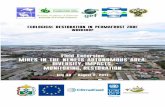 Field Excursion MIRES IN THE NENETS AUTONOMOUS AREA ... bolshezemelskaya.pdf · 1 ecological restoration in permafrost zone workshop field excursion mires in the nenets autonomous