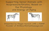 Supporting Senior Animals with Acupressure/Shiatsu, Based ... fileSupporting Senior Animals with Acupressure/Shiatsu, Based on the Physiology and Energy of Aging Presented by Megan