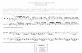 Carcassi etude 1 op. 60 - danielnistico.net · Carcassi Etude no. 01, op. 60 A performer’s guide By Daniel Nistico Carcassi’s 25 Melodic Etudes are a staple of the guitar repertoire.