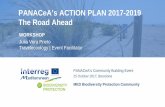 PANACeA’s ACTION PLAN 2017-2019 The Road Aheadplanbleu.org/sites/default/files/upload/files/06_action_plan_2017-2019.pdf · PANACeA’s ACTION PLAN 2017-2019 The Road Ahead . WORKSHOP