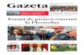 Formă de protest extremă la Electrolux - gazetanord-vest.ro fileBani pentru centrele de colectare a fructelor de pădure și ciupercilor cotidianul sătmărenilor   pag. 4