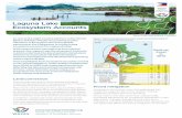 Laguna Lake Ecosystem Accounts - llda.gov.phllda.gov.ph/wp-content/uploads/dox/philwaves/reports/snapshot.pdf · Ang polusyon na namumula sa maruming tubig na ginamit ng mga kabahayan,