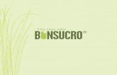 Una Guía sobre - bonsucro.com · 4 5 Bonsucro es una organización global de múltiples partes interesadas y sin fines de lucro dedicada a la reducción de los impactos sociales