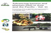 Advancing banana and plantain R&D in Asia and the Pacific ... · PDF fileThe mission of the International Network for the Improvement of Banana and Plantain (INIBAP) is to sustainably