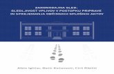 naslovnica domen koncna - Skupnost občin Slovenije · PREDGOVOR Inštitut za ustavno pravo si s svojo znanstveno-raziskovalno in svetovalno dejavnostjo na področju ustavnega prava