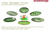 The jungle trail 2014 - Jungle Trail 2014.pdf¢  The Jungle Trail The Jungle Trail Look and Discover