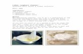 senseofentertaining.files.wordpress.com  · Web viewLabne (yoghurt cheese)Honey & Co, Sarit Packer & Itamar Srulovich. Makes 200g. Ingredients: 350 g plain yoghurt. ½ teaspoon salt.