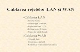 Cablarea reţelelor LAN şi WAN - cadredidactice.ub.rocadredidactice.ub.ro/sorinpopa/files/2011/10/prez_Curs-5.pdf · protocoalele PPP şi Frame Relay. Vitezele acestor conexiuni