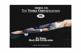 © 2018 The Council for Six Sigma Certification. All rights ... · In applying Six Sigma, organizations, teams, and project managers seek to implement strategies that are based on