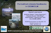 Permafrost-climate feedbacks in CESM/CLM · anaerobic decomposition ... N mineralization Fire Biogeochemical cycles Phenology BVOCs N dep N fix Denitrification N leaching CH 4 Root