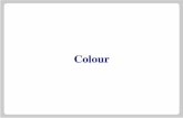 Colour - Department of Statistics ihaka/787/lectures-colour.pdf · PDF filethe colour wheel. • Warm Colours: Colours close to yellow. • Cool Colours: Colours close to blue. Equal