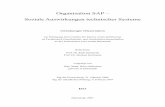Organisation SAP - tuprints.ulb.tu-darmstadt.detuprints.ulb.tu-darmstadt.de/796/1/Dissertation_Hohlmann.pdf · Organisation SAP – Soziale Auswirkungen technischer Systeme Genehmigte