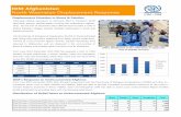 IOM Afghanistan North Waziristan Displacement Response 6,000 · and their main and immediate needs were, Food and non-food items, winter kits, WASH and emergency shelters From June