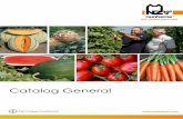 Catalog General - ecoplant.ro Nunhems.pdf · folosit pentru altoirea pepenilor verzi. * În curs de includere în Catalogul Comunităţii Europene. 06 | Catalog general Nunhems Ceapă