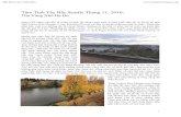 Tâm Tình Tây Bắc Seattle Tháng 11, 2016 · cây bạch dương cao vút trồng thẳng tắp. Vào mùa Xuân, mùa Hạ, hai hàng cây này xanh mướt trông mát mắt,