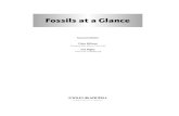 Fossils at a Glance - download.e-bookshelf.de · Contents Acknowledgments, vi Chapter 1 Introduction, 1 Chapter 2 Fossil classiﬁcation and evolution, 13 Chapter 3 Sponges, 19 Chapter