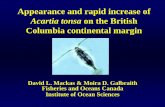 Appearance and rapid increase of Acartia tonsa on the ... · Appearance and rapid increase of Acartia tonsa on the British Columbia continental margin David L. Mackas & Moira D. Galbraith