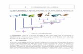2014-2015 OS4 Evolution - BioDjbiodj.weebly.com/uploads/2/5/0/6/2506925/2014-2015_os4_evolution_partie_iii.pdf · et la classe des mammifères est l'une de celles qui forment l'embranchement
