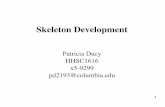 Patricia Ducy HHSC1616 x5-9299 pd2193@columbia · 3 Embryonic origin of the skeleton Chondrocytes & Osteoblasts Osteoclasts Cranial neural crest cells Somitic mesoderm Lateral plate