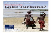 The impact of hydropower and irrigation development on the ...assets.survivalinternational.org/documents/1375/whatfuturelaketurkana... · What Future for . Lake Turkana? African Studies