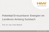 Potential Erneuerbarer Energien im Landkreis Amberg-Sulzbach · Potential Erneuerbarer Energien im Landkreis Amberg-Sulzbach Prof. Dr. Bischof 3 Wie decken wir die Energie