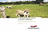 Průmyslový chov zvířat a klima - MeatClimate.orgmeatclimate.org/sites/default/files/reports/meatclimate_czech.pdf · „Průmyslový chov zvířat a klima - Jak EU dělá ze špatného