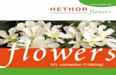 flowers - hethor.de · acaulis Früh, Mittelfrüh, Finalis, Spät 8 Dieser Katalog bietet Ihnen einen Ein- und Überblick über unsere farbenfrohe und variantenreiche Produkt-Palette.