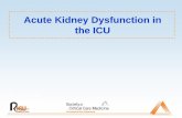 AtKid D f ti iAcute Kidney Dysfunction in the · PDF fileanti-inflammatory drugs, angiotensin converting enzyme inhibitors,inflammatory drugs, angiotensin converting enzyme inhibitors,