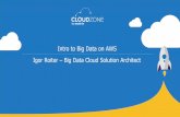 Intro to Big Data on AWS Igor Roiter Big Data Cloud ... presentation- AWS 18... · AWS IoT DynamoDB AWS Snowball Amazon Athena EC2 ... Elasticsearch Service Lambda AWS Database Migration