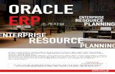 ORACLE ERP REORCE ETERPRIE PLI - oracle-mkt.co.kroracle-mkt.co.kr/newsletters/pdf/Oracel ERP Brochure_JDE Introduction.pdf · - 구축 이후 운영 비용(Running Cost)을 최소한의